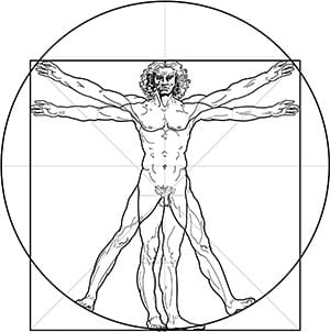 Il principio di proporzione di Da Vinci